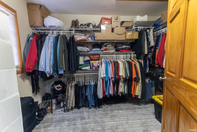 walk in closet featuring carpet floors