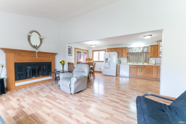 living room with light wood-type flooring