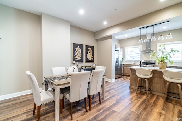 dining space featuring a wealth of natural light and wood-type flooring