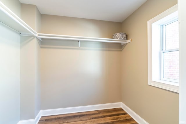 spacious closet featuring dark hardwood / wood-style flooring