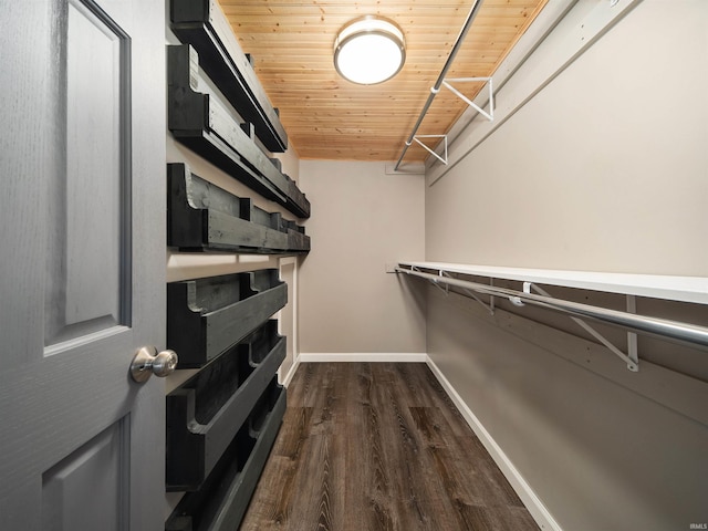 spacious closet with dark hardwood / wood-style flooring