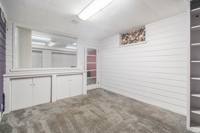 interior space featuring wood walls and carpet floors