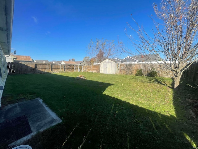 view of yard with a storage shed