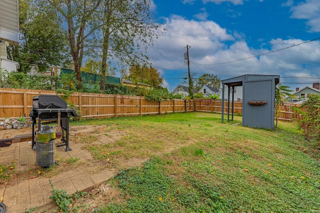 view of yard with a storage shed