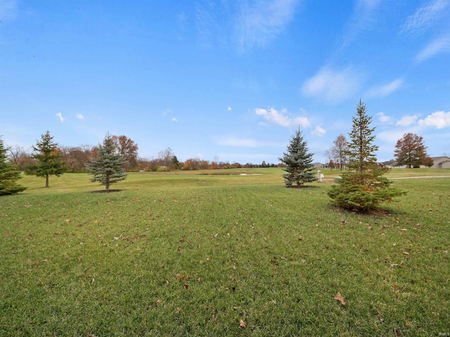 view of yard with a rural view