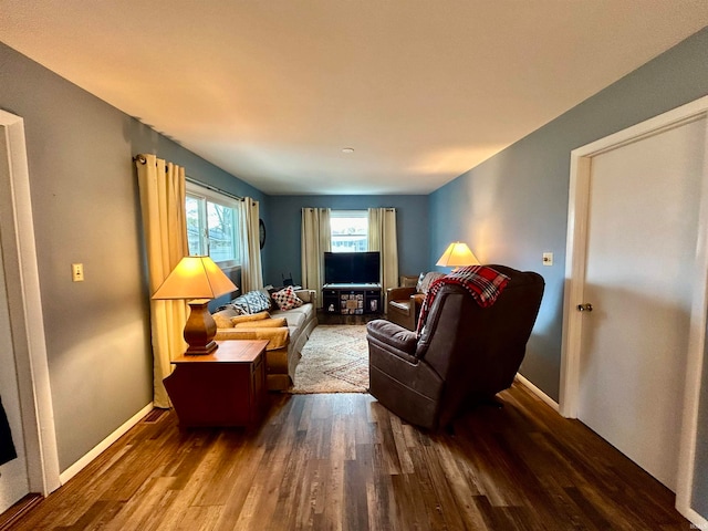 living room with wood-type flooring