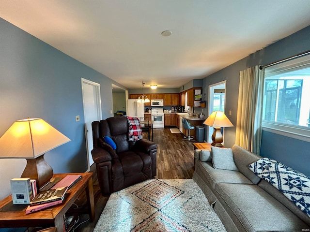 living room featuring dark wood-type flooring