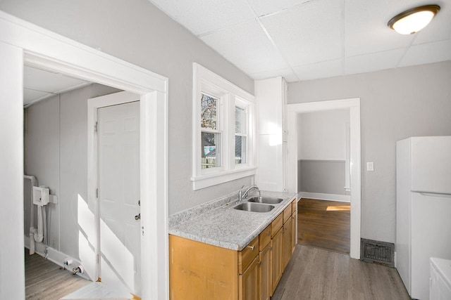 kitchen featuring hardwood / wood-style floors, a paneled ceiling, sink, and white fridge