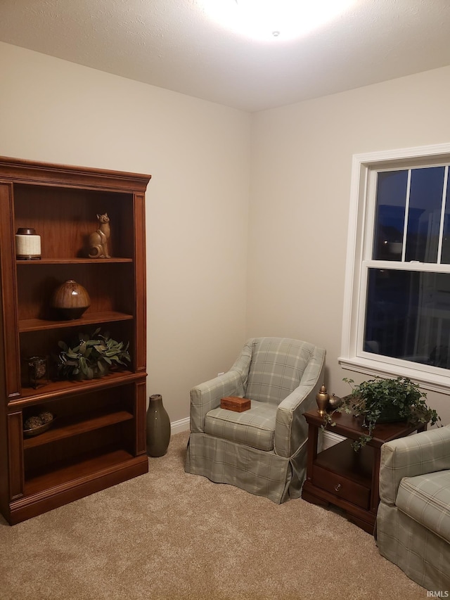 living area with carpet