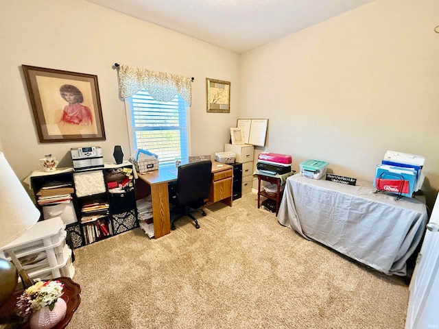 view of carpeted home office