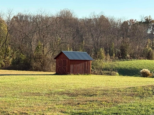 view of yard featuring a storage unit