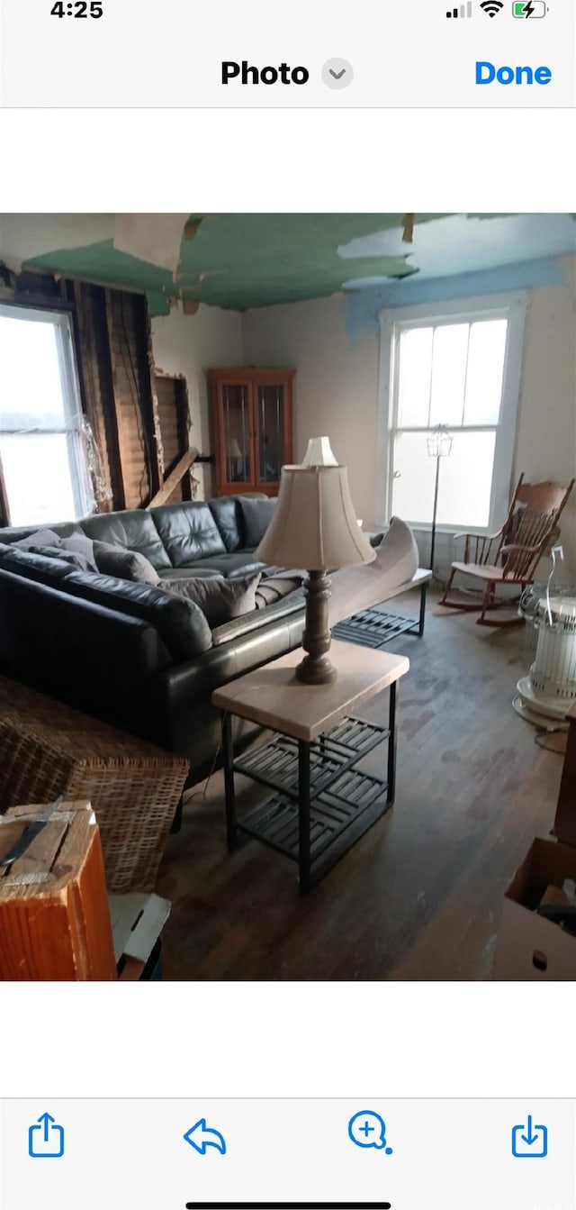 living room featuring a wealth of natural light and hardwood / wood-style flooring