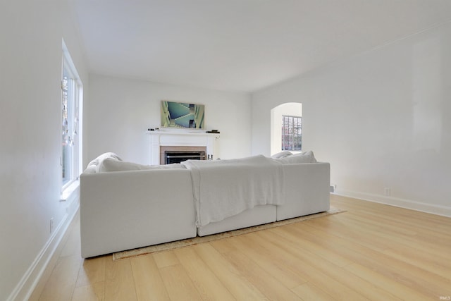 living room featuring wood-type flooring