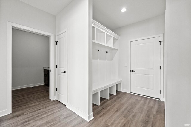 mudroom with hardwood / wood-style floors