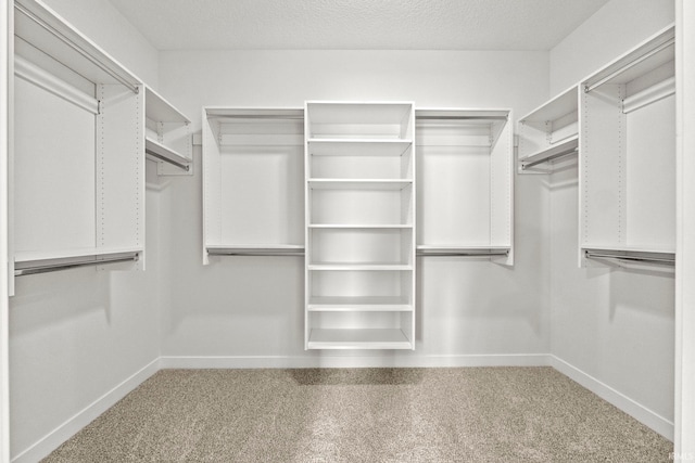 spacious closet featuring carpet floors