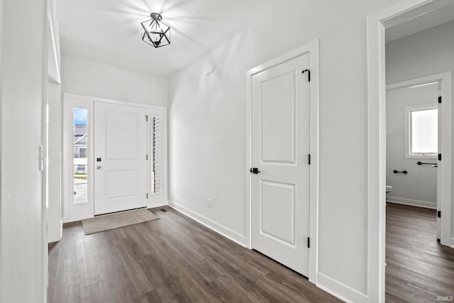 foyer with dark hardwood / wood-style floors and plenty of natural light