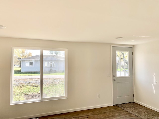 entryway featuring hardwood / wood-style flooring and a healthy amount of sunlight