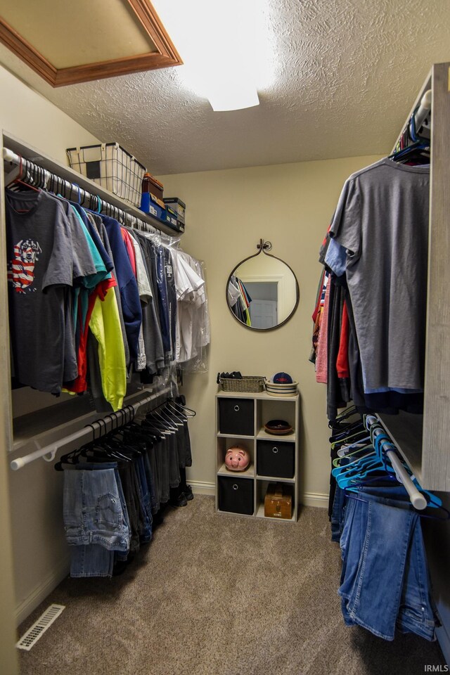 spacious closet featuring carpet flooring