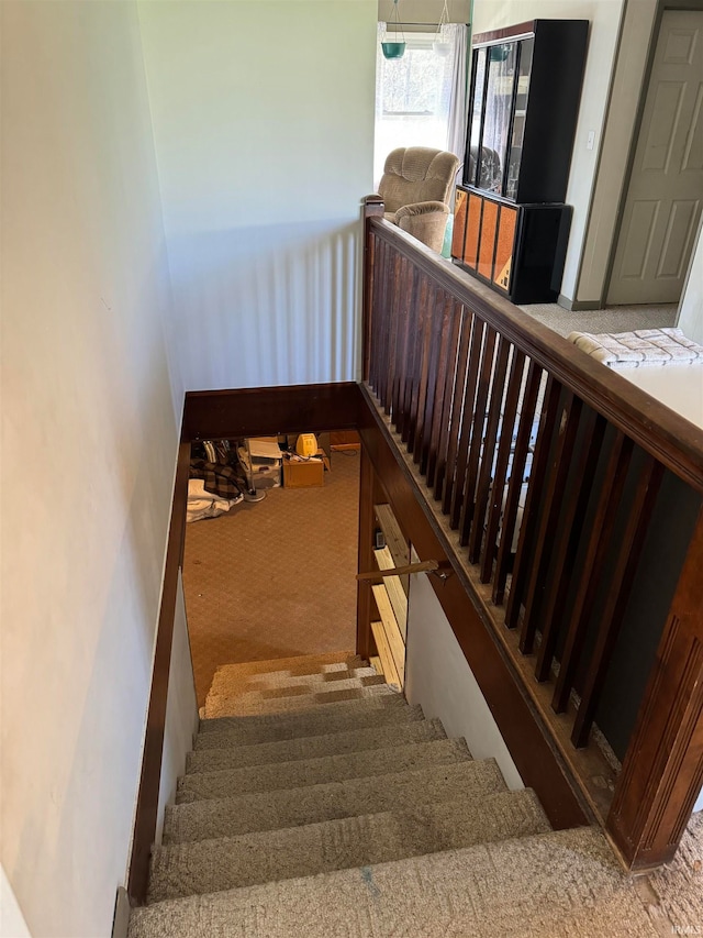 stairs featuring carpet floors