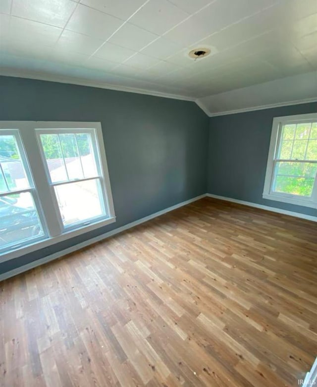 additional living space featuring lofted ceiling and hardwood / wood-style flooring