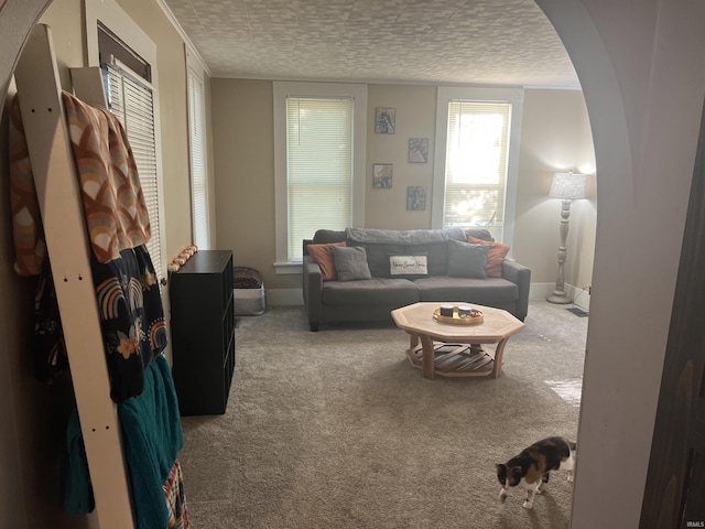 living room with carpet flooring and a textured ceiling