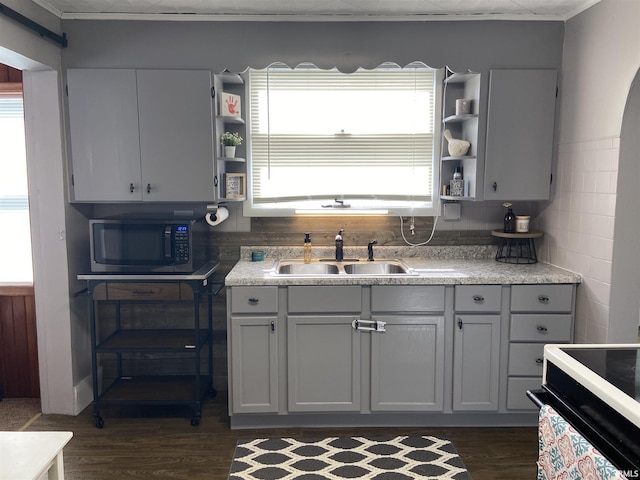 kitchen with dark hardwood / wood-style floors, a wealth of natural light, and sink