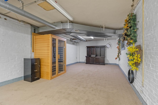 basement featuring carpet