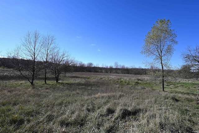 view of local wilderness with a rural view