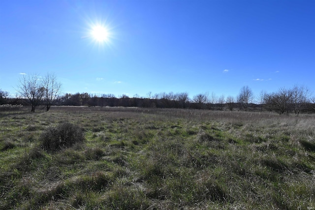 view of local wilderness with a rural view