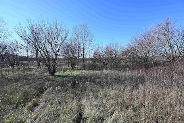 view of landscape featuring a rural view