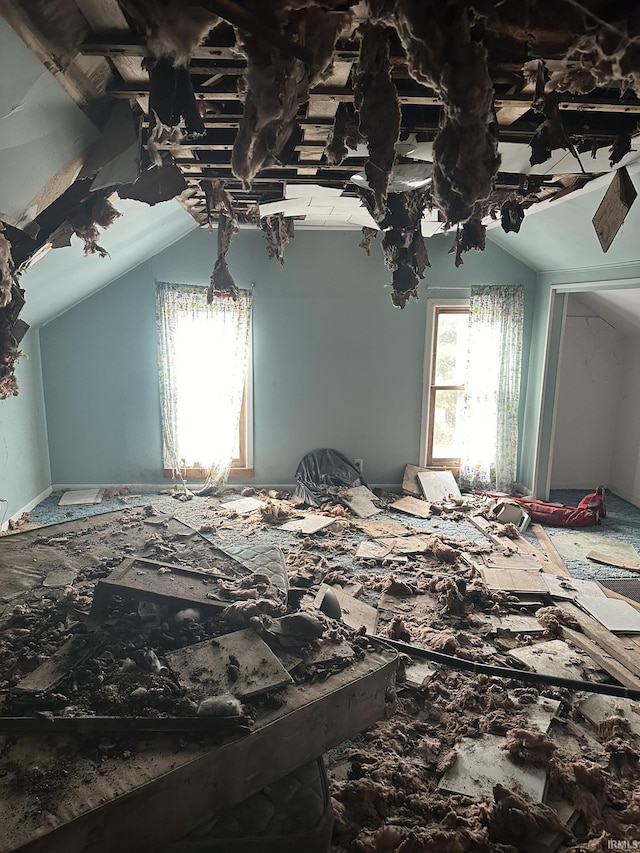 bedroom featuring vaulted ceiling