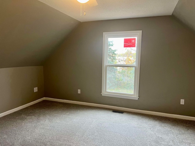 additional living space with a textured ceiling, carpet floors, and vaulted ceiling