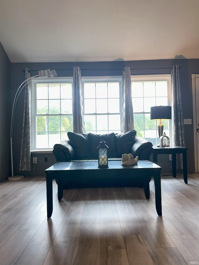 living room with light wood-type flooring and a healthy amount of sunlight