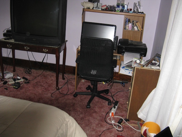 home office with carpet floors