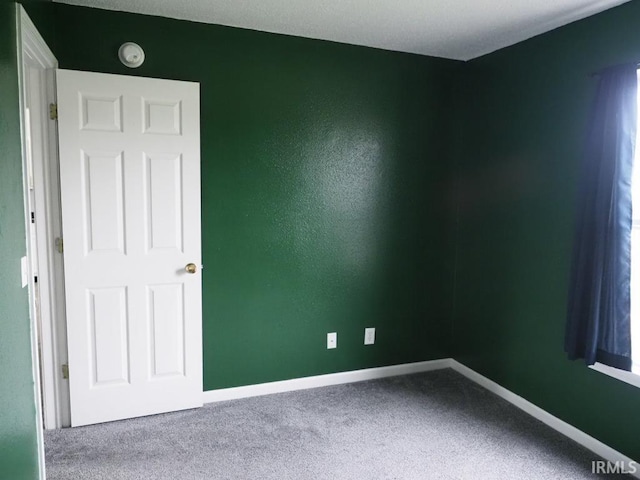 spare room featuring carpet floors