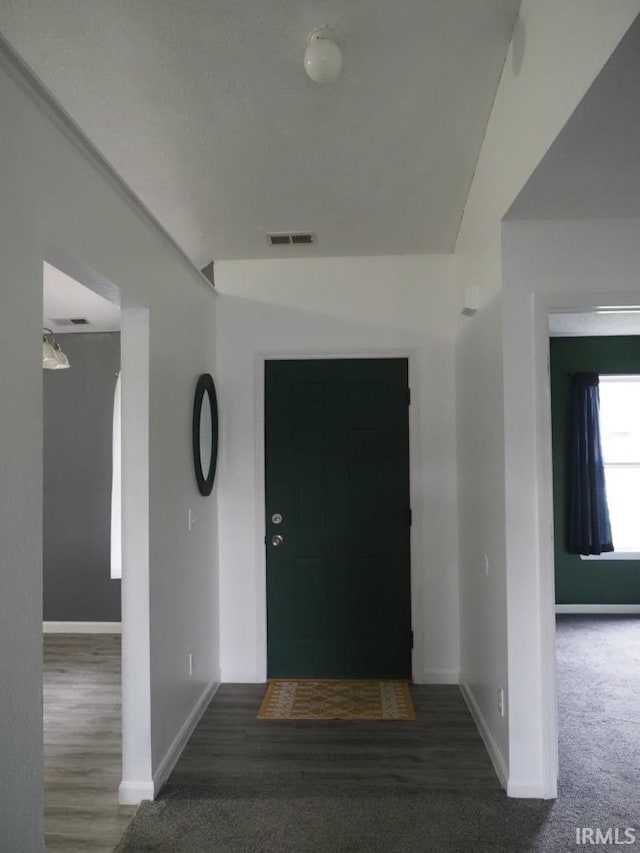 foyer with dark wood-type flooring