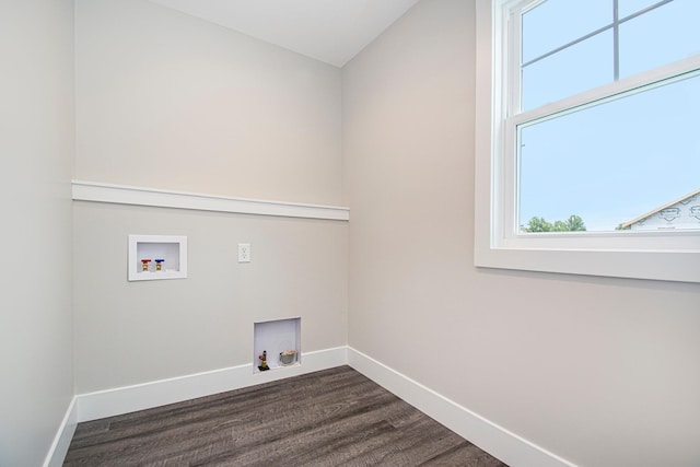 washroom featuring hookup for a washing machine and dark hardwood / wood-style floors