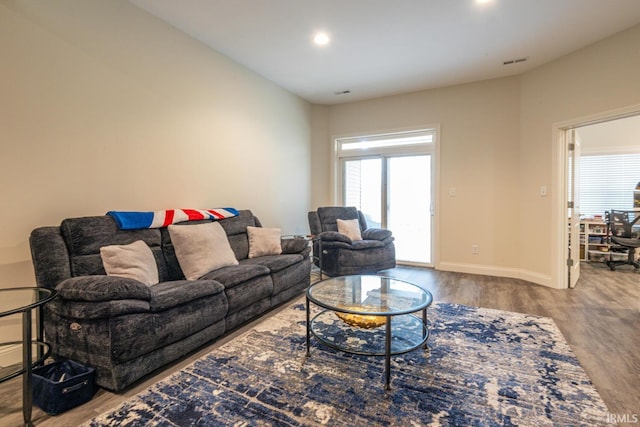 living room with wood-type flooring