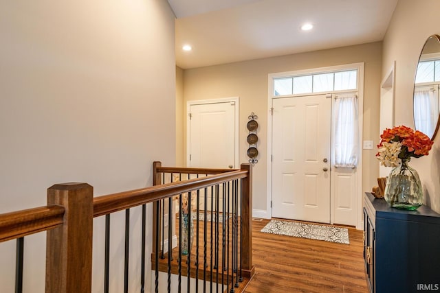 foyer entrance featuring dark wood-type flooring and a healthy amount of sunlight