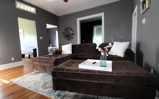 living room with hardwood / wood-style flooring and ceiling fan