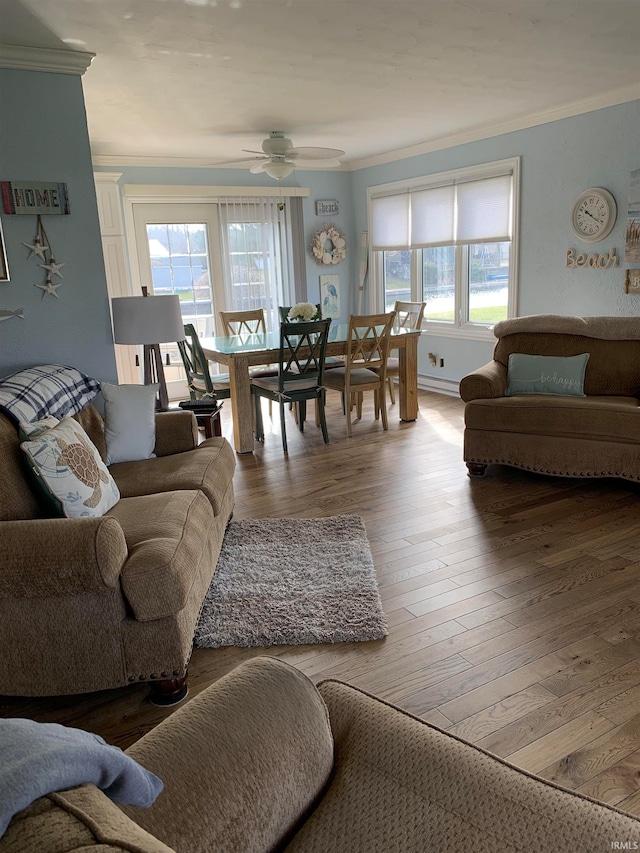 living room with hardwood / wood-style floors, ornamental molding, and a wealth of natural light