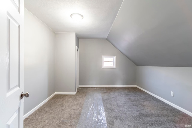 additional living space featuring carpet, a textured ceiling, and vaulted ceiling