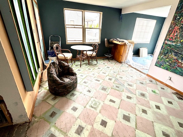 miscellaneous room with plenty of natural light