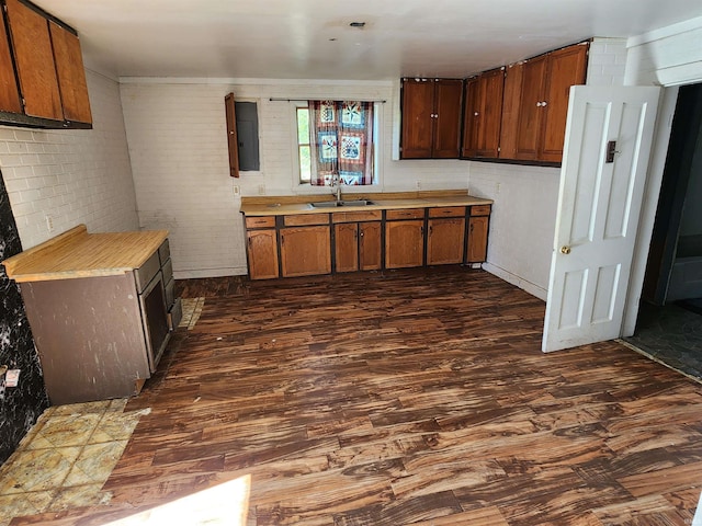 kitchen with dark hardwood / wood-style flooring and sink