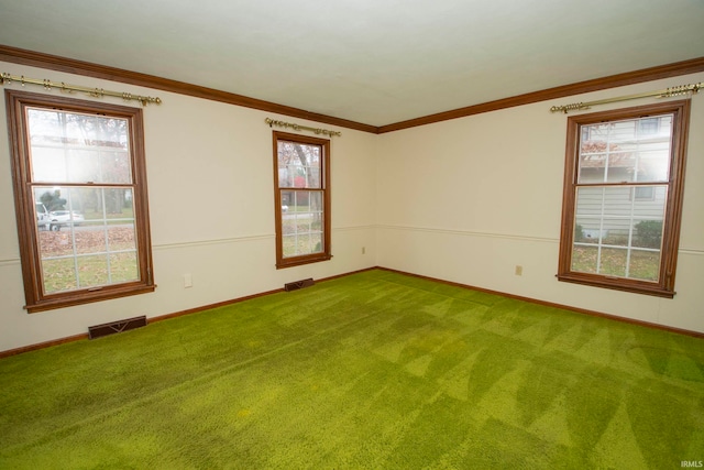 empty room featuring plenty of natural light, carpet floors, and ornamental molding