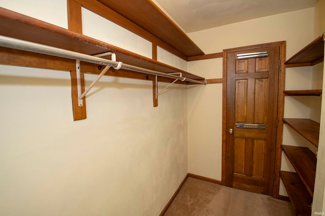 spacious closet featuring carpet floors