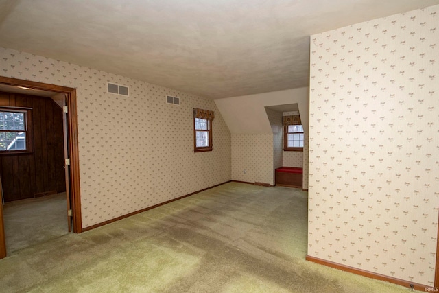 additional living space featuring a textured ceiling, light carpet, and vaulted ceiling