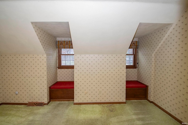 additional living space featuring carpet floors and lofted ceiling