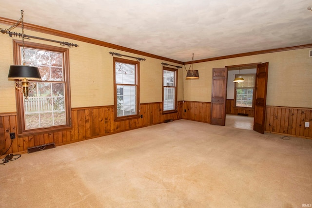 carpeted spare room with wood walls and ornamental molding