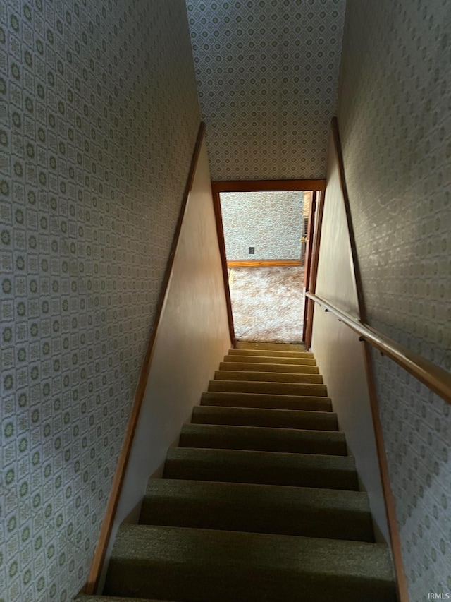 staircase with carpet